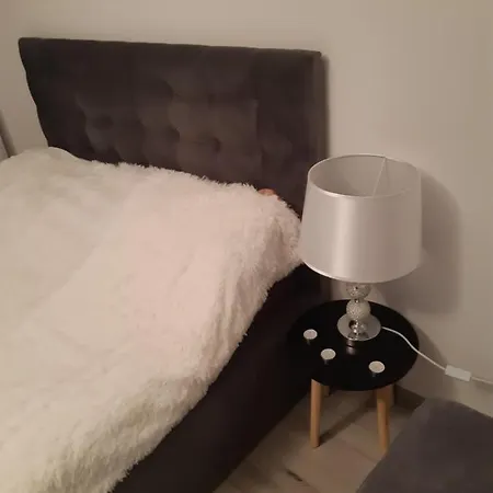 Apartment Dana Bucharest